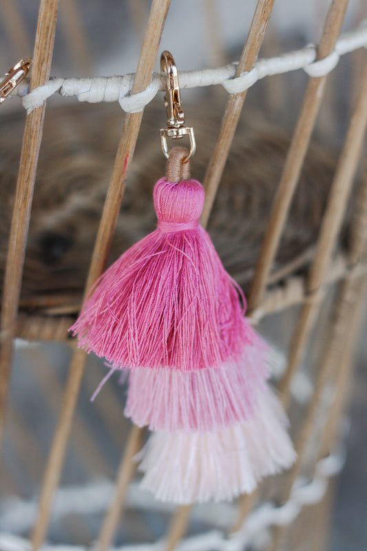 Multi Color Tassel Key Chain