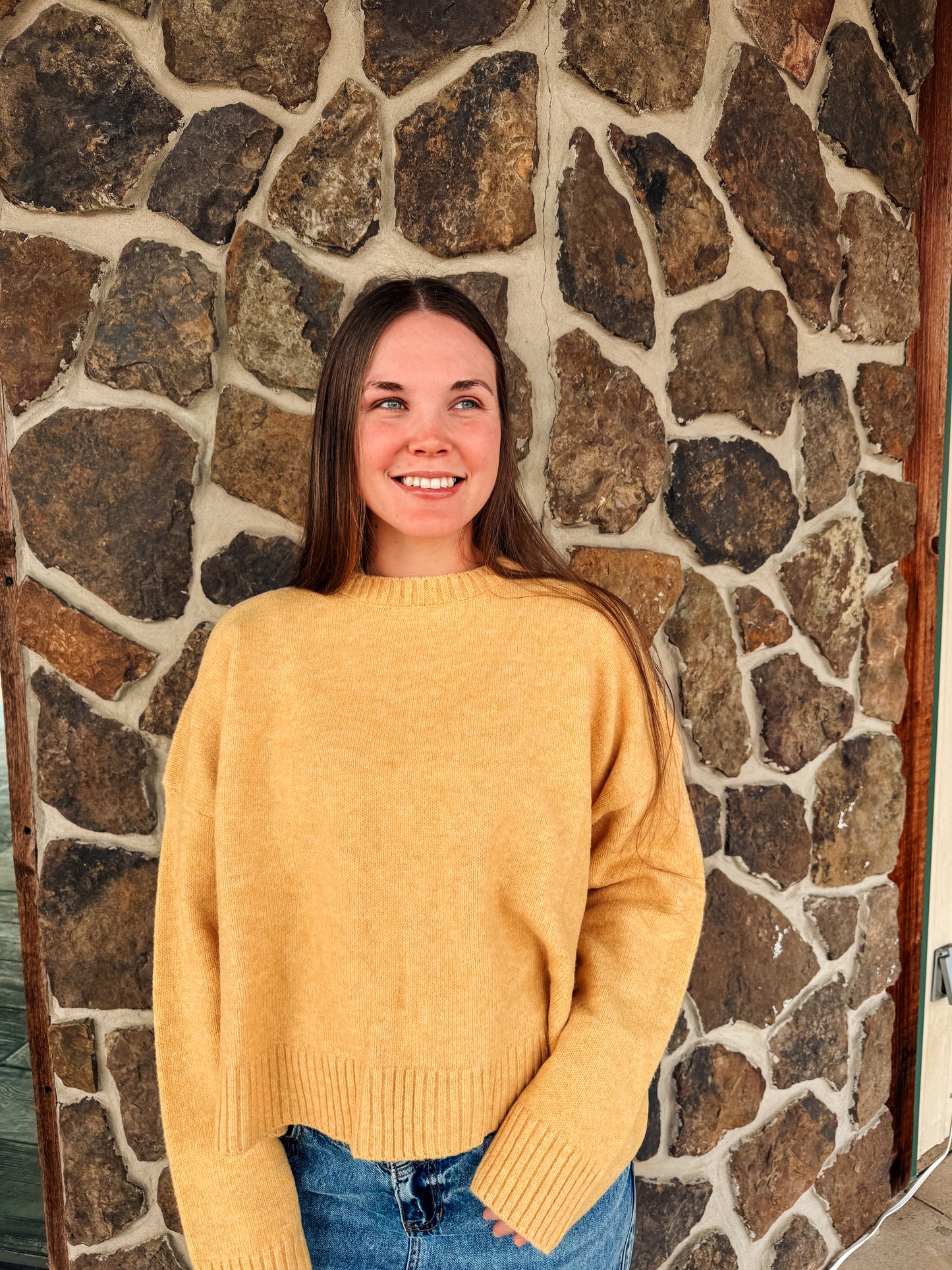 Tie-back Cropped Sweater