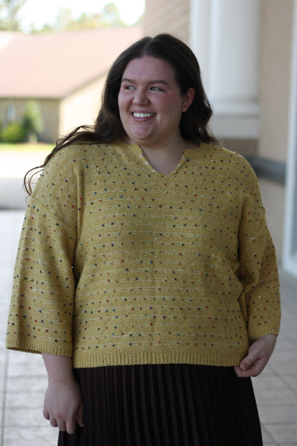 Multicolor Mini Pompom Sweater